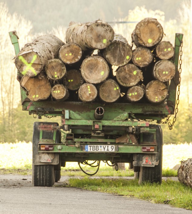 Transport von Holzstämmen